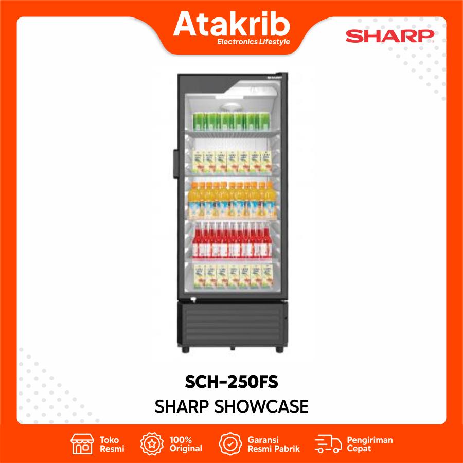 SHARP SHOWCASE SCH-250FS 