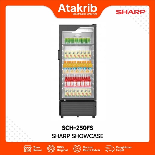 SHARP SHOWCASE SCH-250FS 